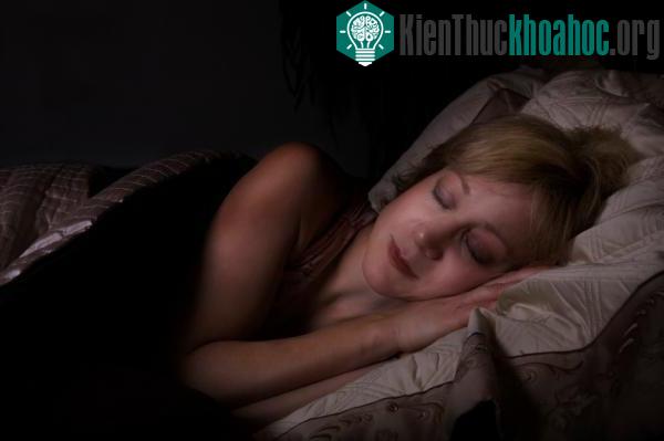 Tại sao chúng ta khó nhớ được giấc mơ? ảnh 0