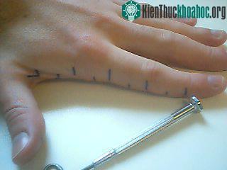 Con đường đến với thành công ảnh 0