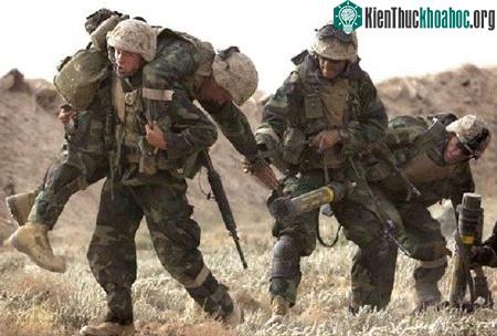 Hèn nhát hay dũng cảm đều do hoóc môn ảnh 0