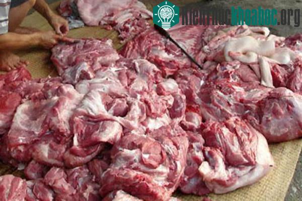 Vi khuẩn kháng kháng sinh đang tiềm ẩn trong nhiều thực phẩm. (Ảnh minh họa: Xuân Ngọc).