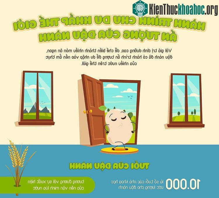Đậu nành dẫn đầu xu hướng thực phẩm xanh.