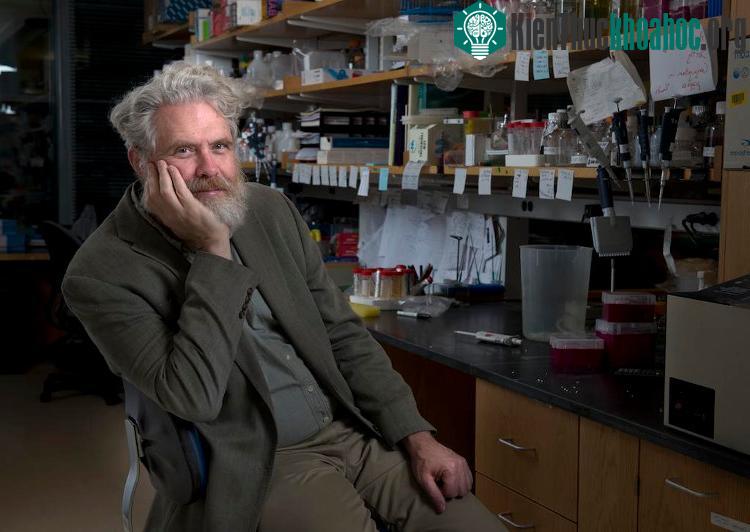 Giáo sư George Church, người đứng sau dự án "hack" gene.