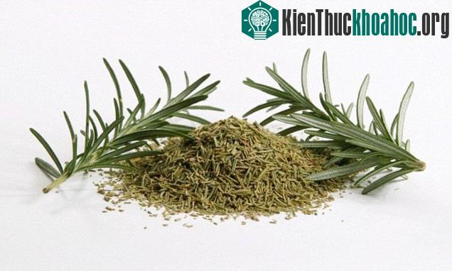 Cây hương thảo đặc biệt được sử dụng nhiều trong các món ăn của những người sống thọ hơn 100 tuổi ở làng Acciaroli, Italia. (Ảnh: Corbis).