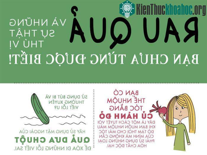Bạn có thể nhuộm tóc bằng củ hành đỏ hoặc dùng dưa chuột để xóa đi những lỗi viết sai bằng bút bi.