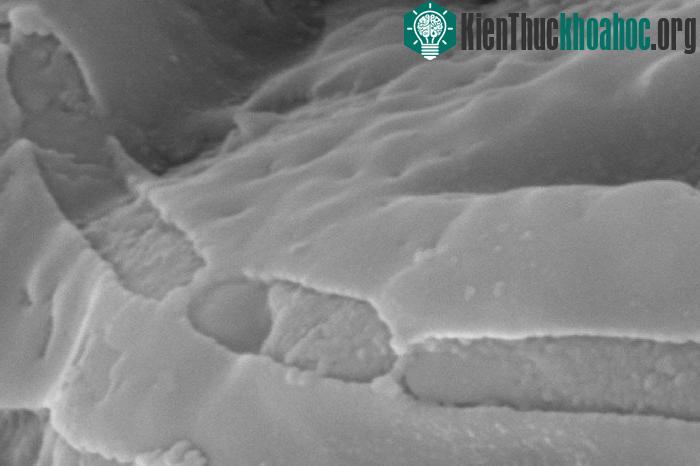 Vi khuẩn hóa thạch trong hang đá ở châu Phi. (Ảnh: New Scientist).