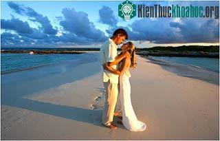 (Ảnh: Gillieweddings.com)