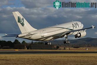Chuyên cơ Airbus A310-308 chở Tổng thống Pervez Musharraf.