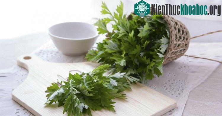 Ngải cứu còn được nhiều chị em phụ nữ sử dụng trong việc làm đẹp.