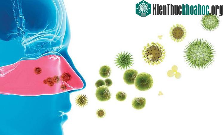Các loại virus mới luôn thách thức loài người.