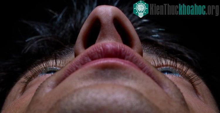 Siêu vi khuẩn MRSA và vi khuẩn mới Staphylococcus lugdunensis hiếm khi cùng xuất hiện trong mũi.