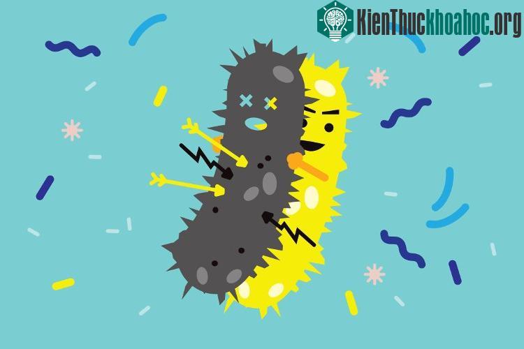 Trong hàng triệu vi khuẩn, tồn tại những cá thể có khả năng kháng kháng sinh tự nhiên.