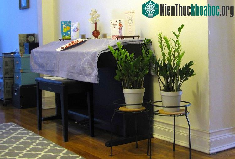 ...nhưng cũng là mối nguy hiểm tiềm tàng với trẻ nhỏ.