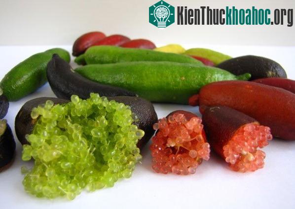Chanh ngón tay tạo ra mùi vị thơm khi phục vụ cùng hải sản tươi sống. (Ảnh: Daley Fruits).