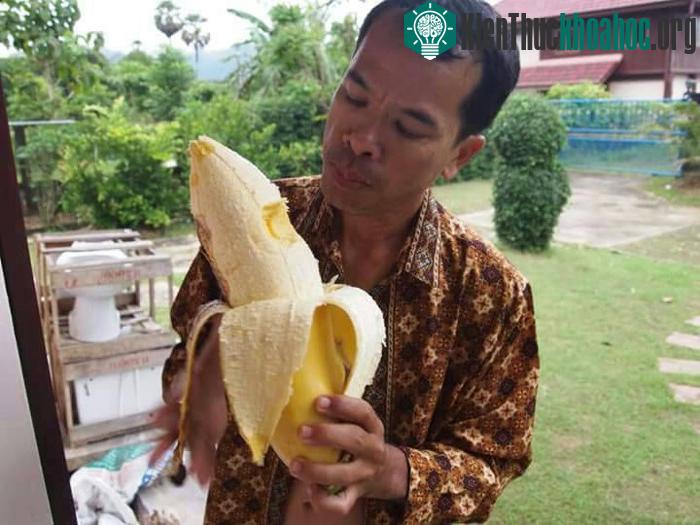 Quả chuối to bằng cổ chân gây xôn xao.