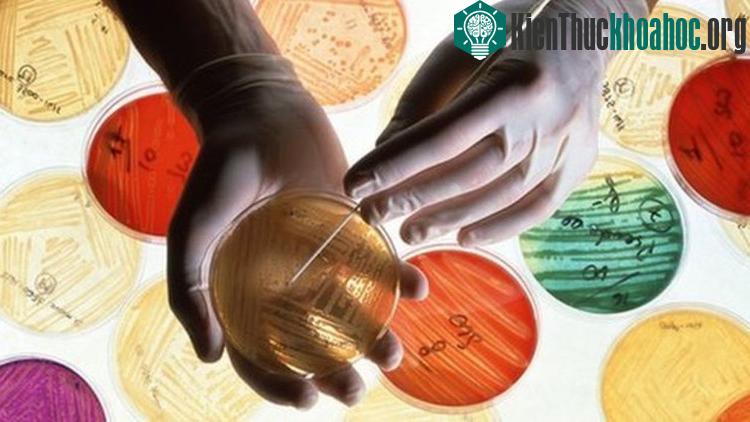 Nghiên cứu khoa học sẽ mở ra những giải pháp mới.