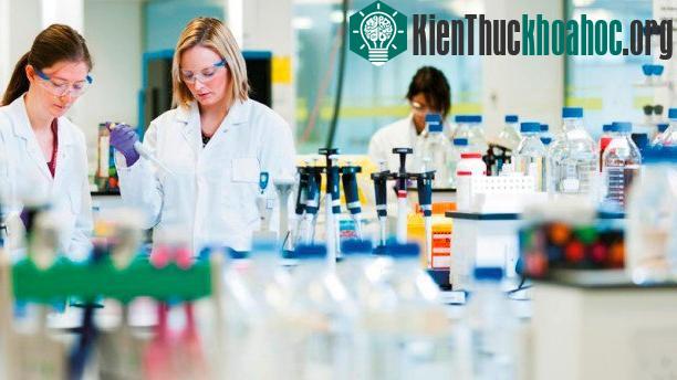 Có nhiều loại E. coli, nhưng may mắn thay phần lớn chúng có thể nói là vô hại.