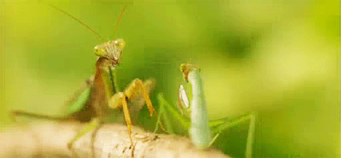 Xong việc rồi đi đi...