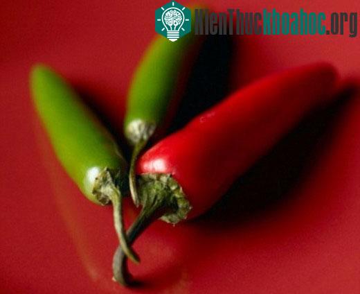 Ớt jalapeño