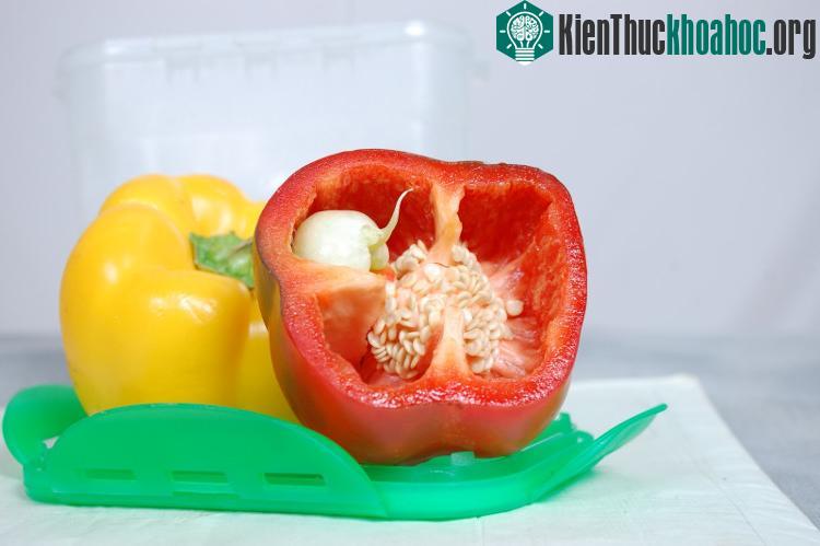 Mầm xuất hiện trong trường hợp này đơn giản là do quả đã chín quá mà thôi.
