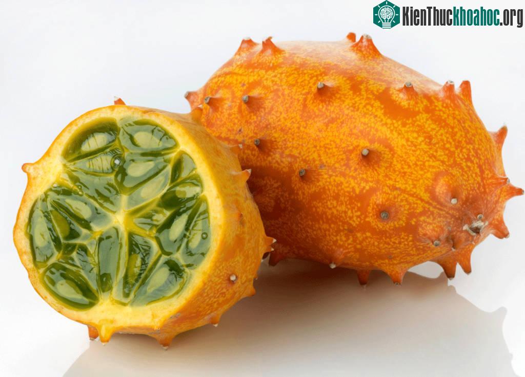 Dưa chuột có sừng