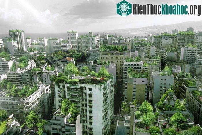 Một nghiên cứu tổng quát là cần thiết để khai thác triệt để và hợp lý lợi ích của cây xanh.