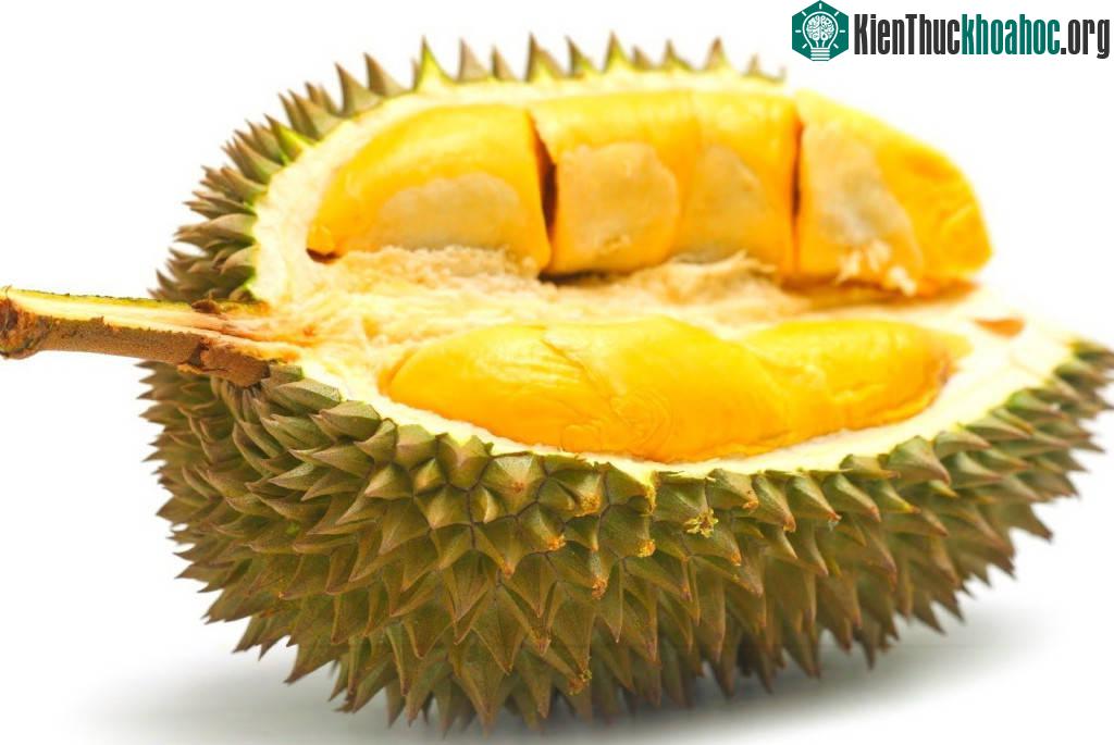 Sầu riêng