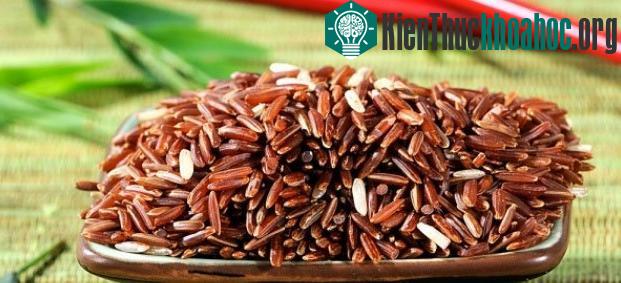 Gạo nâu (gạo lứt) chỉ lưu trữ được 3 - 6 tháng.