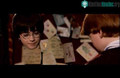 10 khám phá khoa học nổi bật năm 2008 ảnh 6