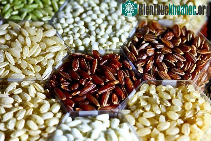 Gạo trắng chính là sản phẩm từ gạo nâu "biến hình".