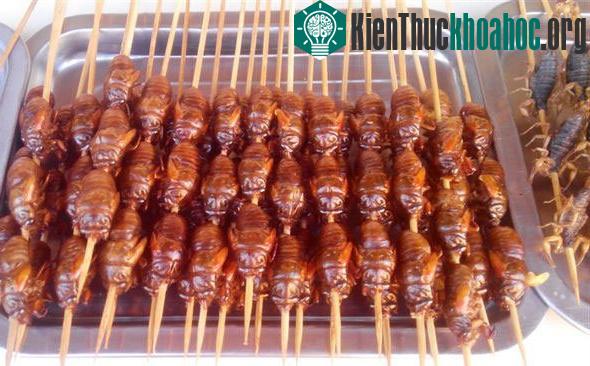 Món ve sầu chiên bắt mắt.