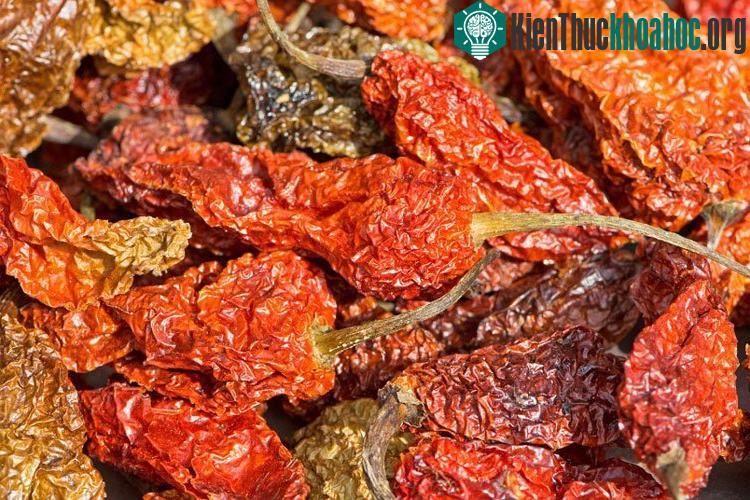 Ớt Bhut Jokolia