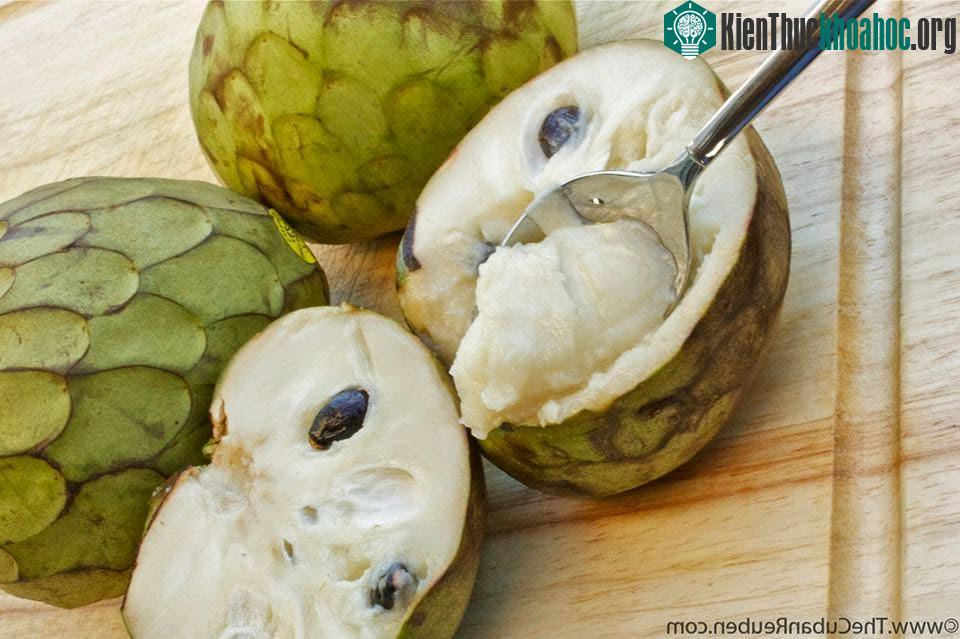 Cherimoya