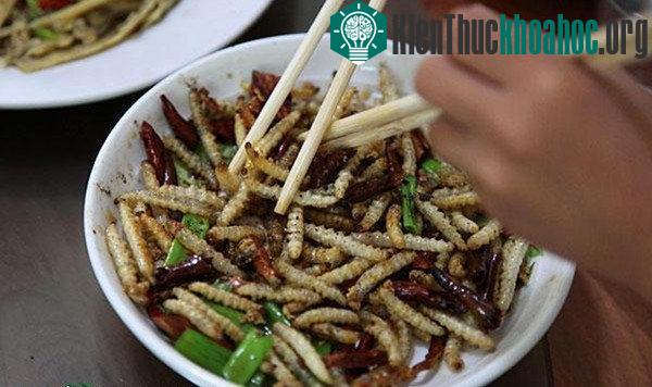 Sâu tre sau khi chiên giòn hoặc nướng lên ăn béo ngậy cực kì hấp dẫn.
