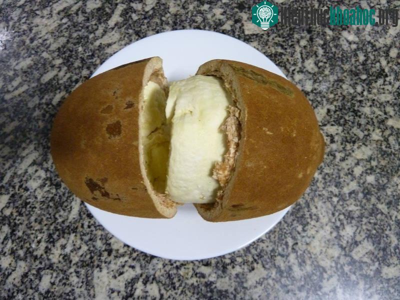 Theobroma Grandiflorum