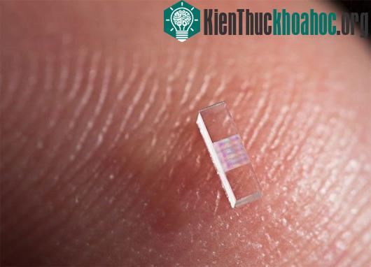 Ảnh:&nbsp;nextbigfuture.com