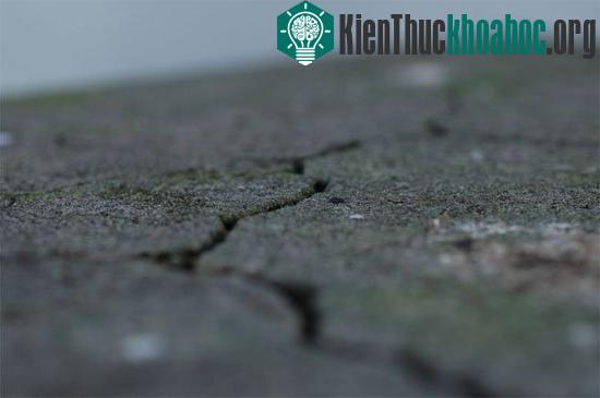 Ảnh:&nbsp;undistract.com