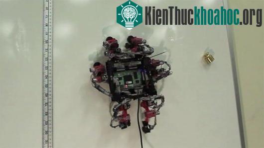 Mô hình robot thằn lằn - (Ảnh: esa.int)