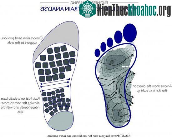 Đôi chân thoáng mát và không mùi nhờ “vớ cà phê” ảnh 2