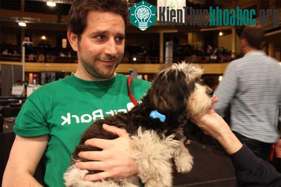 FitBark theo dõi vật nuôi