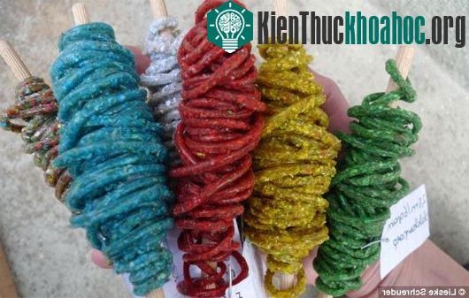 Chế gạch lát sặc sỡ từ... phân ốc sên