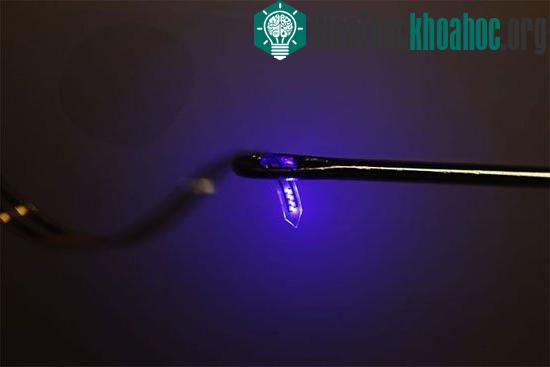 Đèn LED siêu nhỏ mới có khả năng tiêm vào não bộ