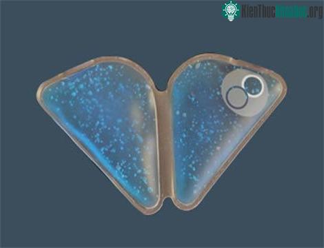 Túi tuyết giữ lạnh SnowWedge.