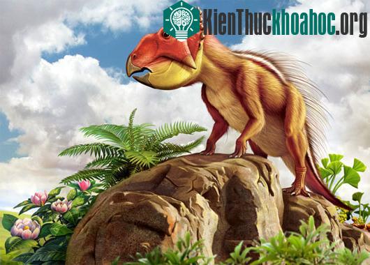 Khi khủng long lâm vào cảnh tuyệt chủng, ong thợ mộc cũng đã trải qua cuộc đại tuyệt chủng. (Ảnh:&nbsp;wikidino.com)