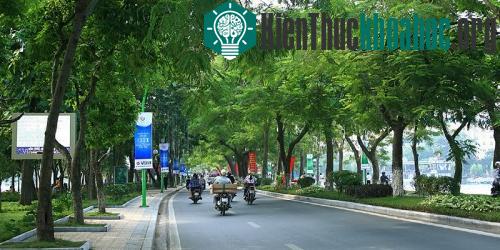 Tác dụng của cây xanh trong hệ sinh thái đô thị