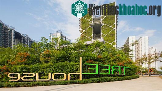 Vườn cây thẳng đứng nhìn từ phía ngoài khu chung cư Tree House. (Ảnh: CDL)