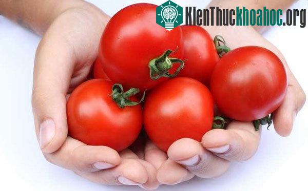 Lần đầu tiên giải mã thành công bộ gene cà chua