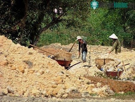 Sử dụng bã thải sắn để sản xuất phân vi sinh vừa mang lại lợi ích kinh tế, vừa giúp giảm thiểu ô