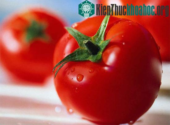 Người châu Âu được cho là mất dần sự kỳ thị đối với cà chua nhờ sự ra đời của bánh pizza ở Italia năm 1880. (Ảnh: internet)