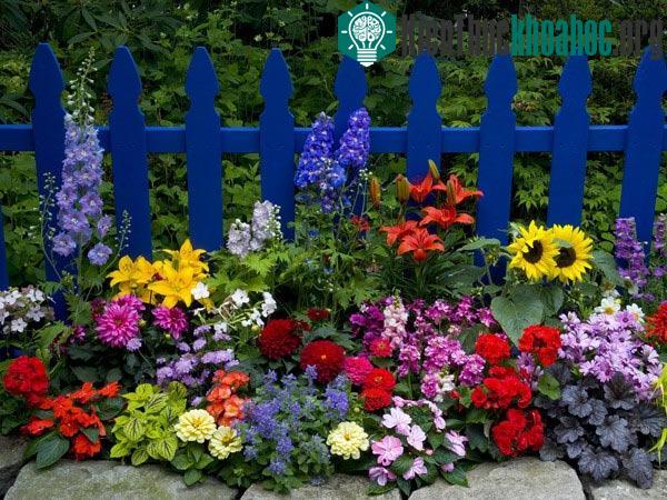 Những điều kỳ thú trong tự nhiên