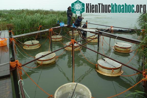 Các nhà khoa học đang nghiên cứu hiện tượng vi khuẩn lam bùng nổ tại hồ Taihu, Trung Quốc.&nbsp;